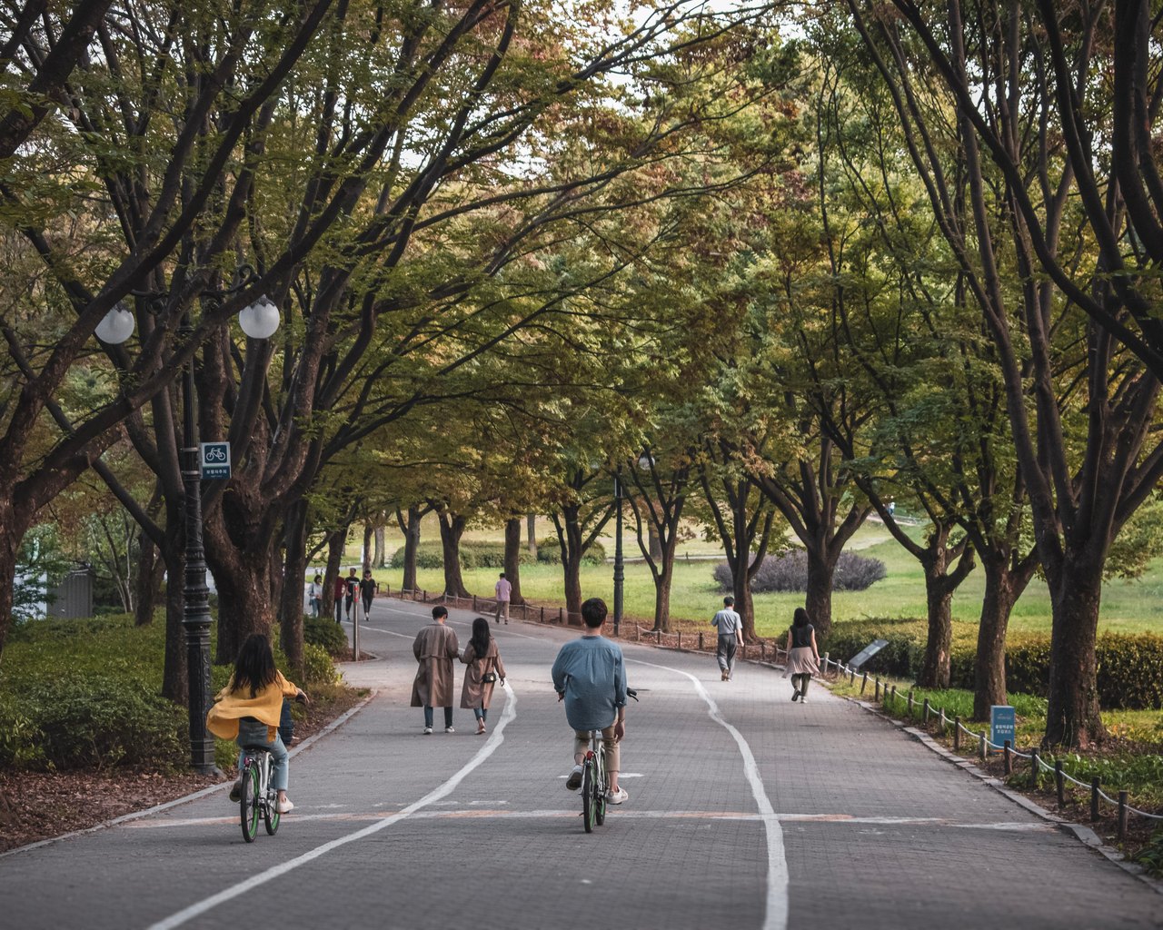 Chilling in Seoul’s Olympic Parc - couples and family, as usual. This picture has a Korean Drama vibe to it, that’s why I like it.